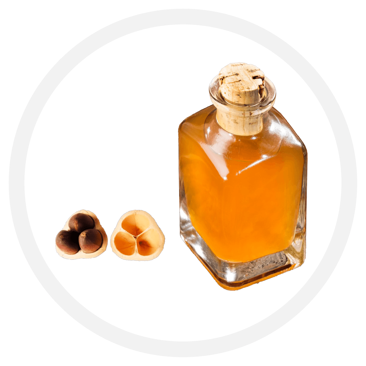 componentes-relaxbay-aceite-hamamelis